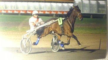 Traver Little Pride T M billede 2