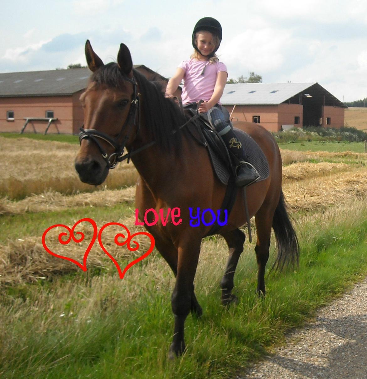 Dansk Varmblod Jackpot - Mig der rider ham som 7årig <3 Jeg red hele skovturen unden snor. billede 15