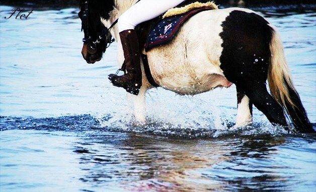 Anden særlig race Plet...<33 - Jagt :) billede 2