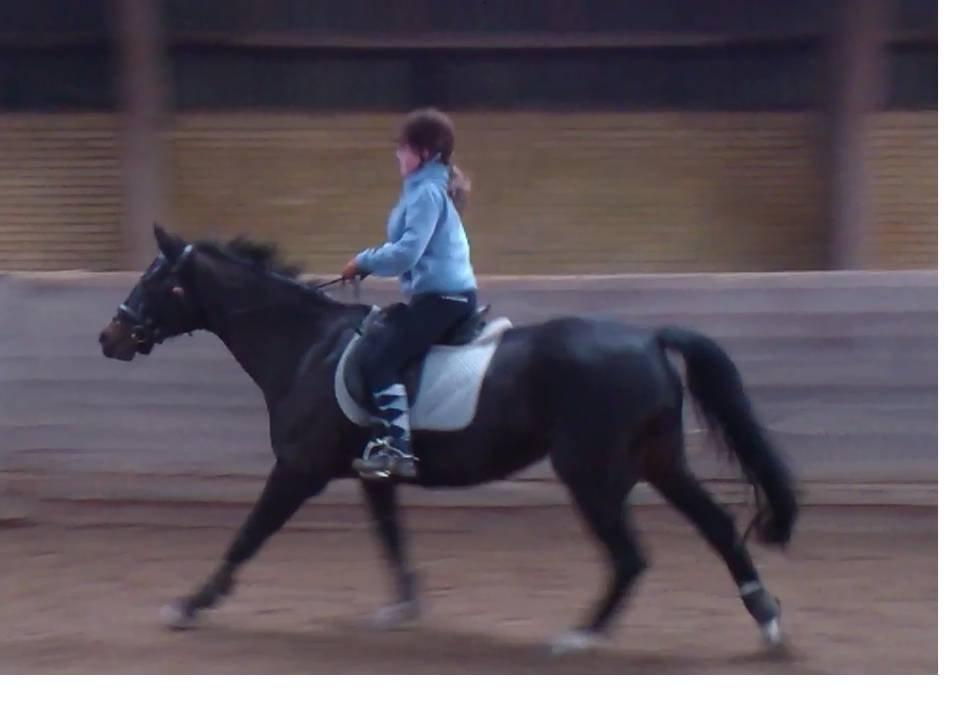 Dansk Varmblod Baronessen *Elevhest* (Har redet) - Galop, taget ud fra video billede 20