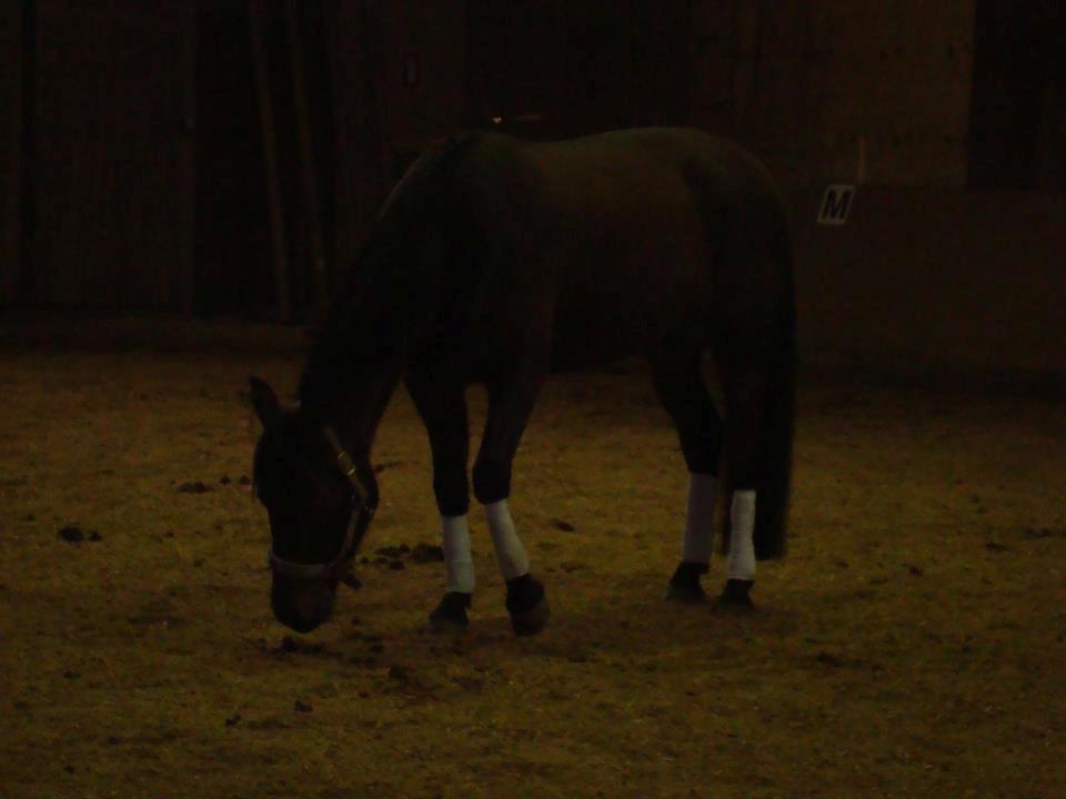 Traver Little Sister E P (Musse) billede 7