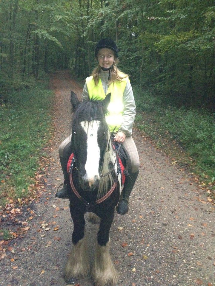 Irish Cob Pfuff    (Bandit<3) - Mig og Pfuff på tur i skoven ;) Og der havde han sit fortøj på :D <3 billede 21