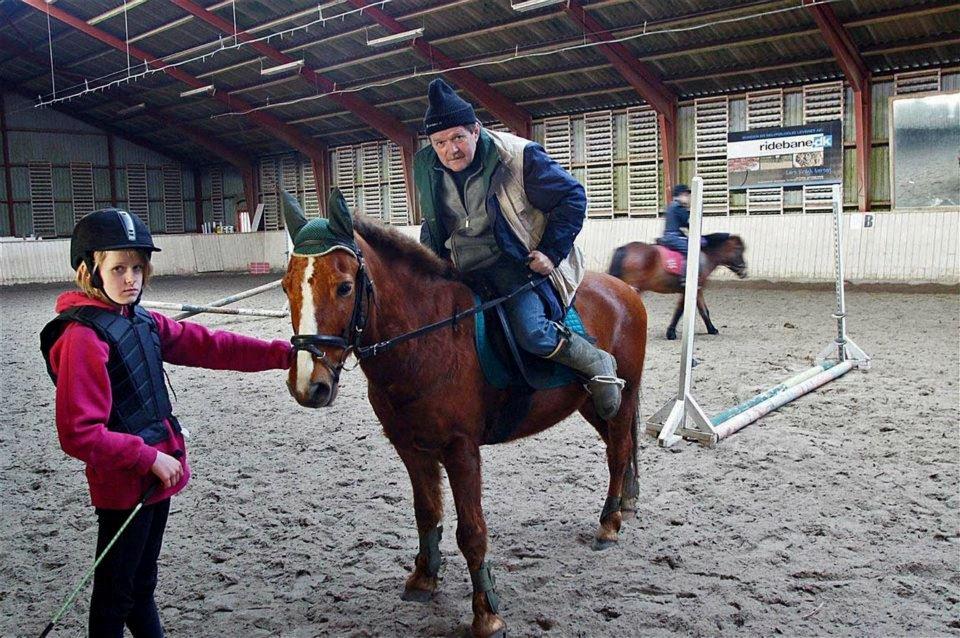 Anden særlig race Rocky-Babe( tidligere hest) billede 11