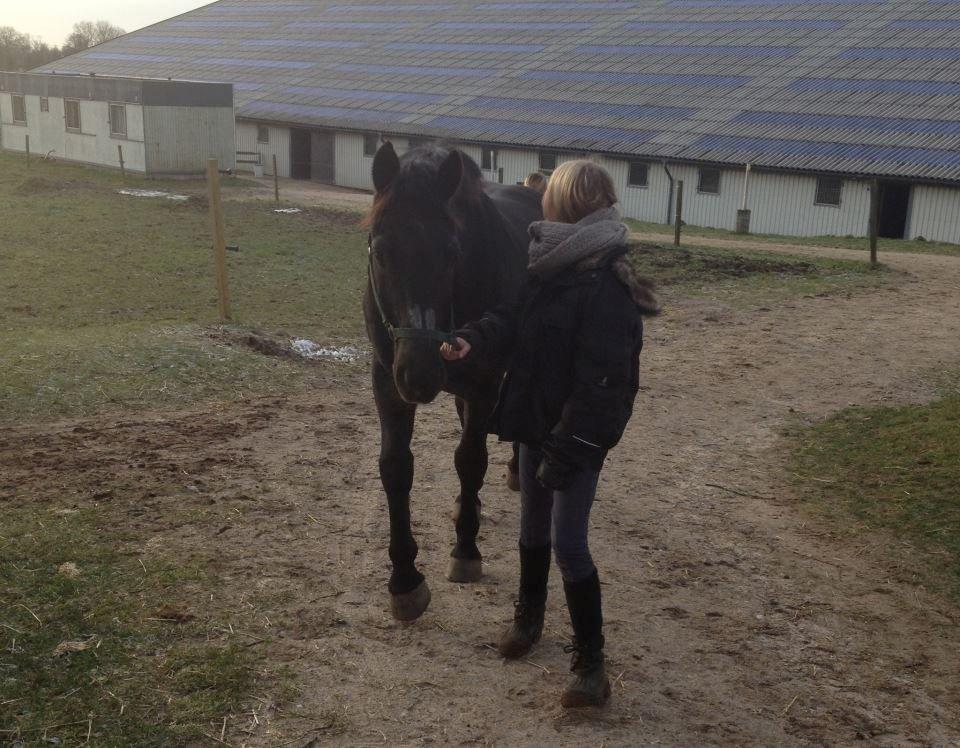 Oldenborg *Happy Meal* Dion <3 - Mig og Dion efter løsspring <3 billede 10
