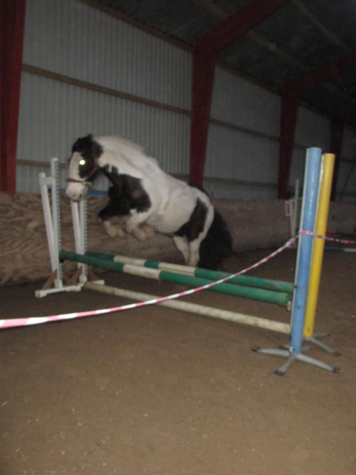 Tinker Nico billede 17