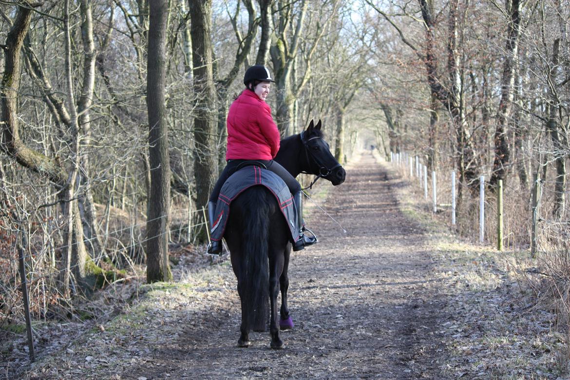 DSP Bethoven af stensnæs B-pony - tur i det frie :D billede 16