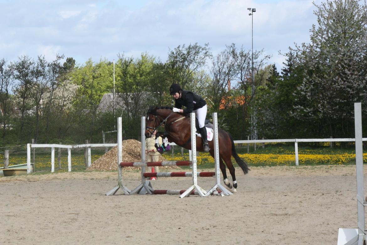 Anden særlig race Brenda/Carina billede 19