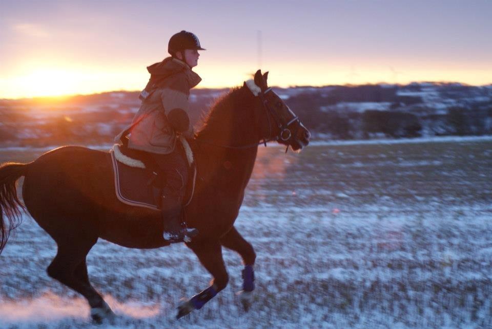 Anden særlig race Pollo - Fra vores første tur sammen <3 billede 10