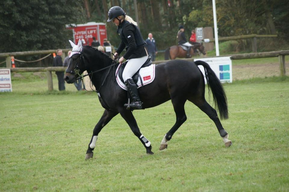 New Forest HAMBORGS EXPRESS - Danmarkscup Kallehavegaard - Finalen 2012.  billede 15