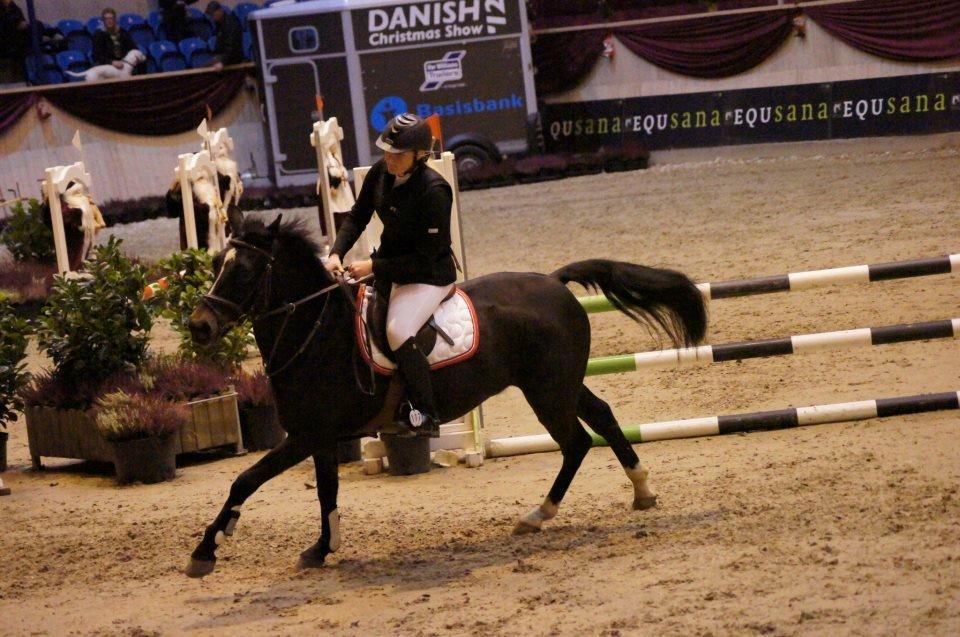 New Forest HAMBORGS EXPRESS - Danish Chrismas Show Warm Up 2012. billede 16