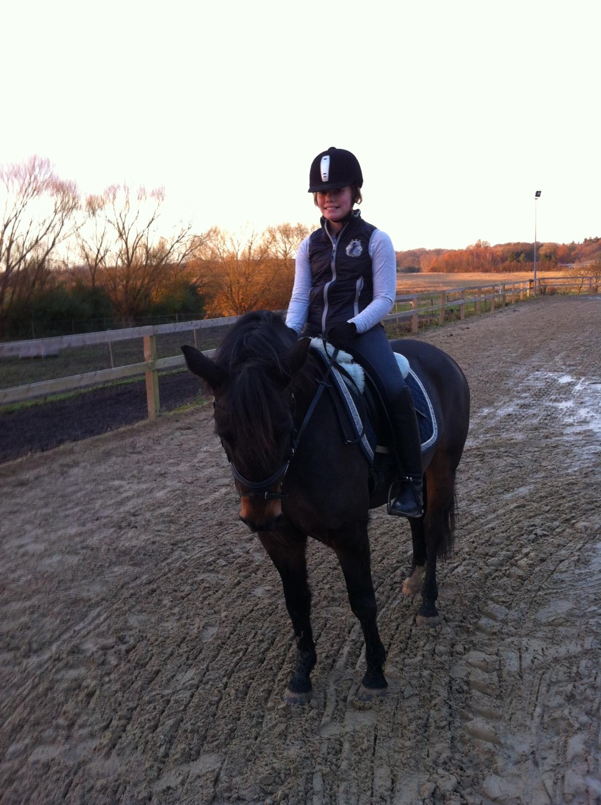 New Forest Horsemosens Prince Hamlet - <33 billede 11