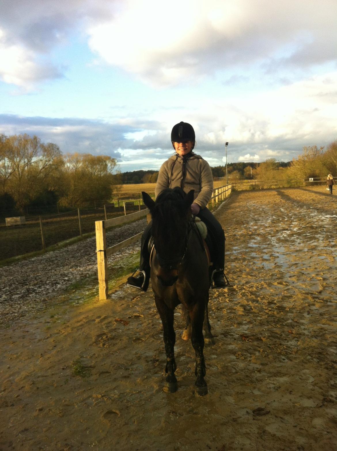 New Forest Horsemosens Prince Hamlet - Mit ÈtOgAlt! :') billede 12