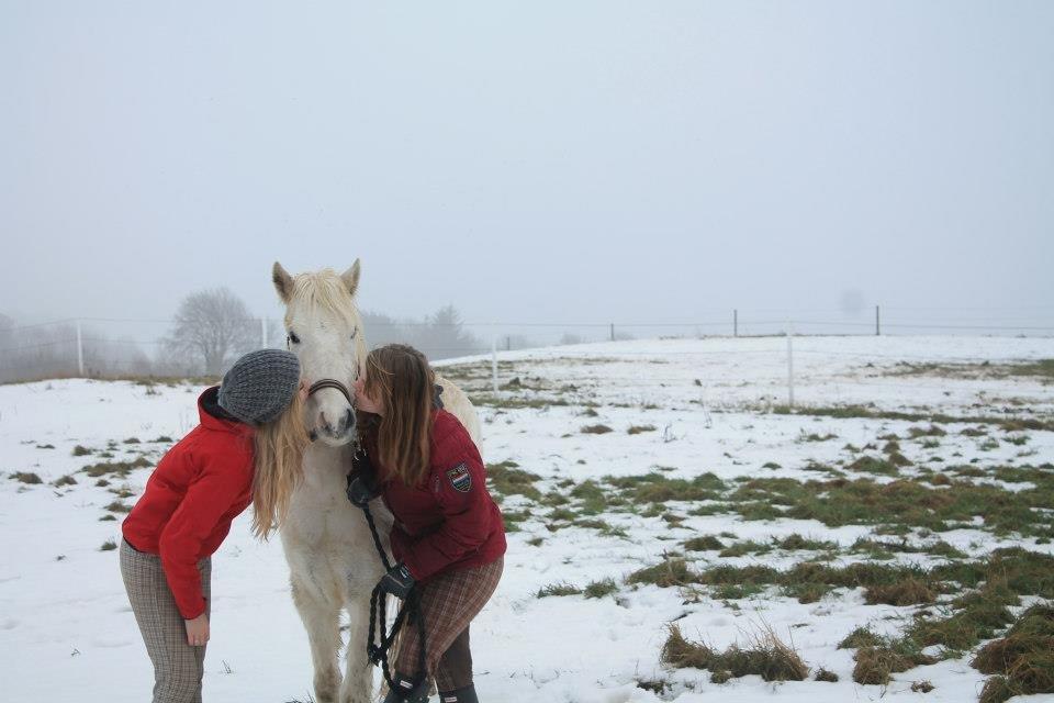 Anden særlig race Idefix (Følle/bette mand) - bette mand <3 billede 6