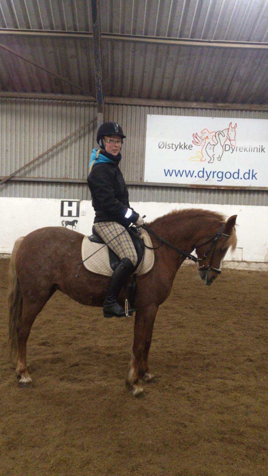 Anden særlig race Mathilde (Rideskolehest) billede 19