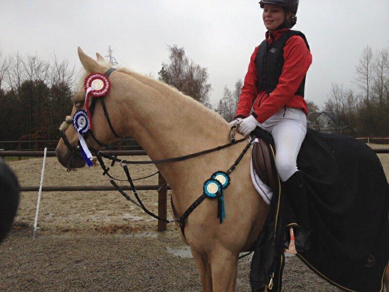 Palomino Pineappel - Andet stævne:) billede 9