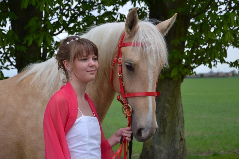 Palomino Pineappel billede 4