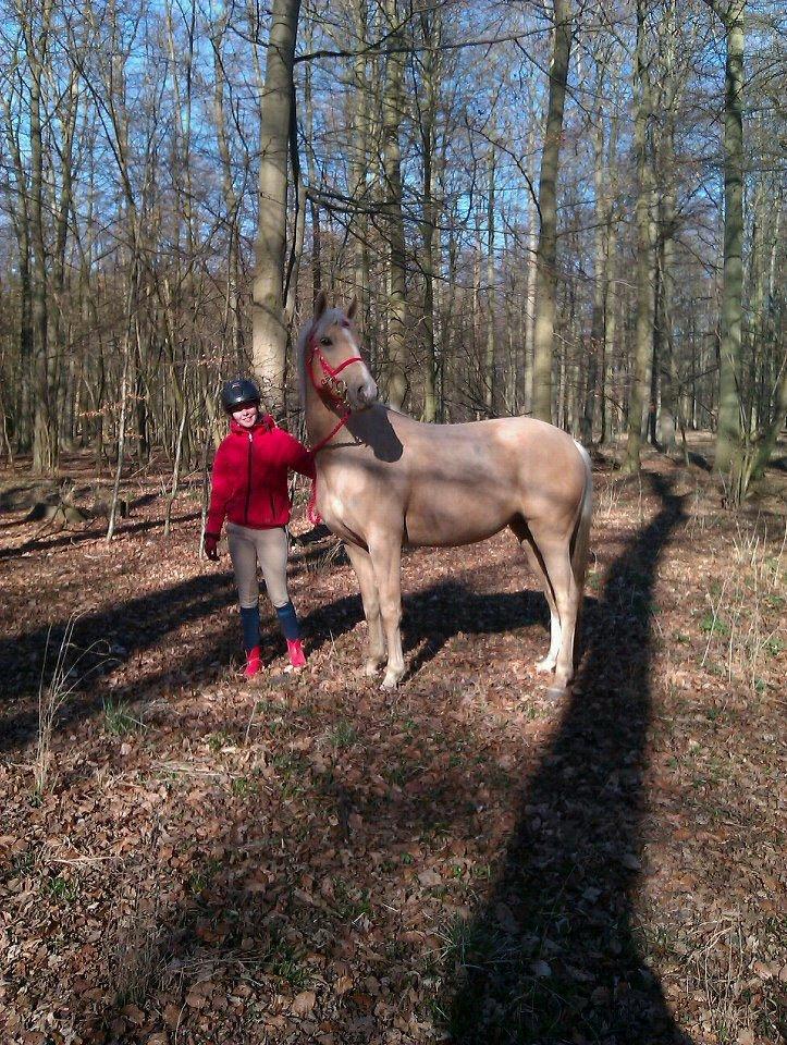 Palomino Pineappel - Gåtur i skoven :) billede 2