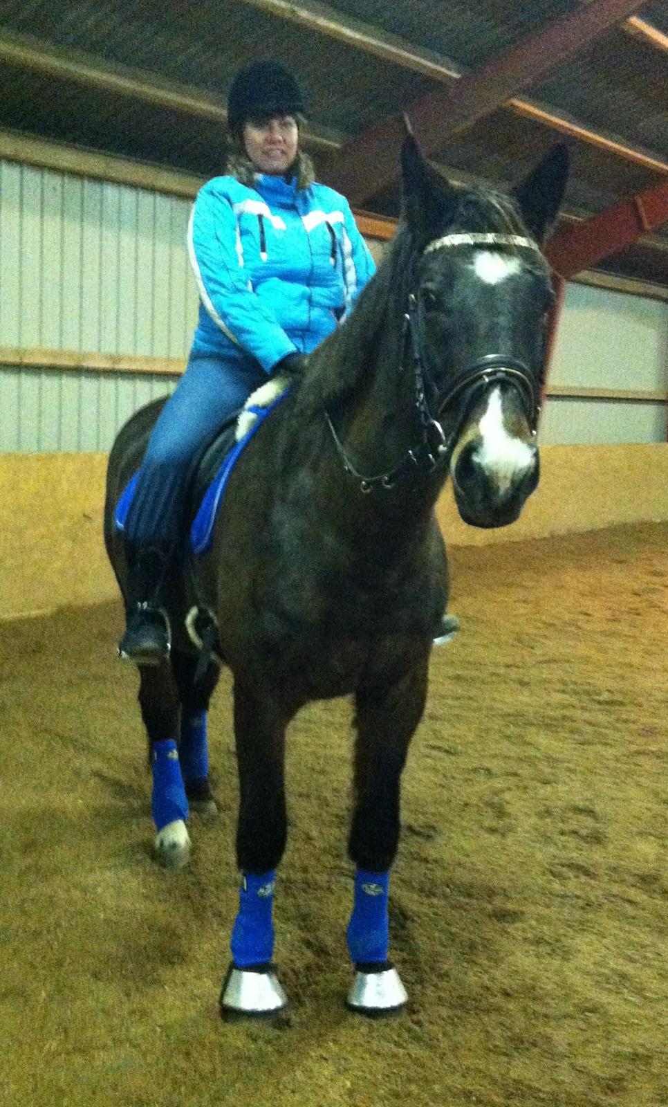 Oldenborg Chamonix R.I.P. - Min veninde på min dejlige hest d. 3 januar 2013 billede 18