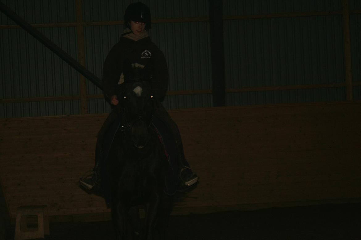 Anden særlig race Thunder Fairy [Tidl lån][Himmel hest] billede 7