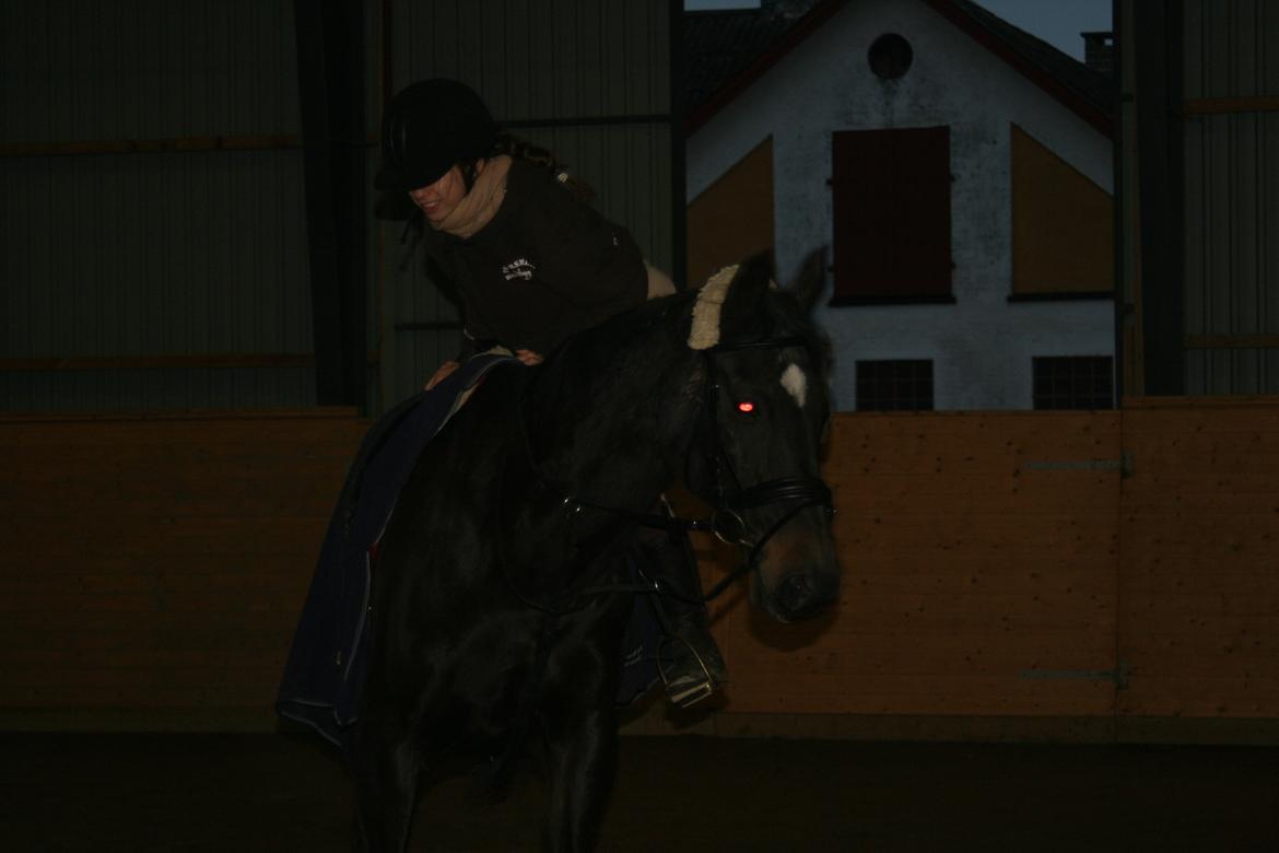 Anden særlig race Thunder Fairy [Tidl lån][Himmel hest] billede 6