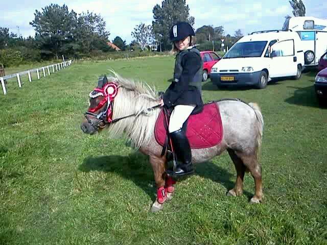 Shetlænder Fia <3 - Du er alt <3 - 1. bredebro stævne spring (foto: min mor) billede 8