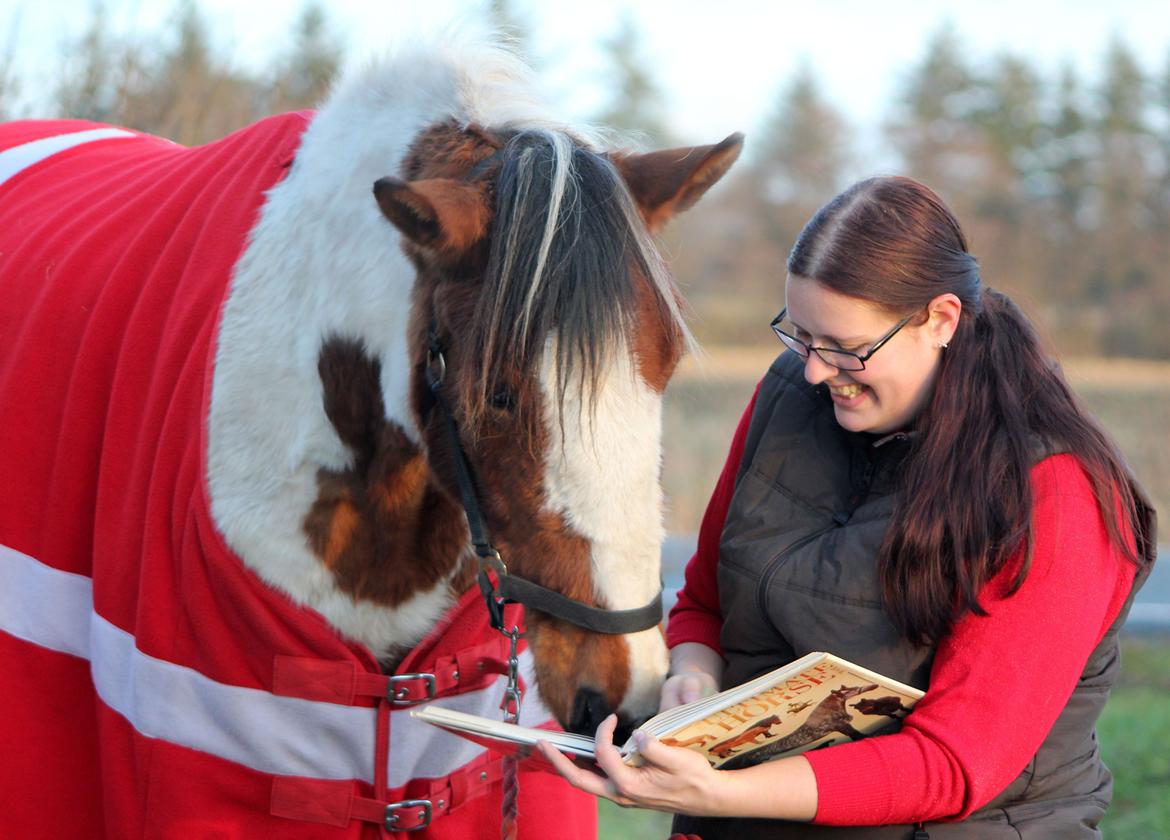 Pinto Love Never Dies (SOLGT) *For evigt elsket <3* - Ha ha min søde læsehest og mig hygger :D billede 23