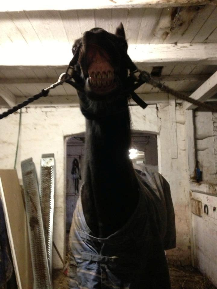 Traver Strong Box billede 1