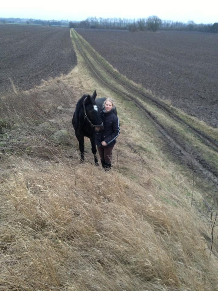 Traver Strong Box billede 2