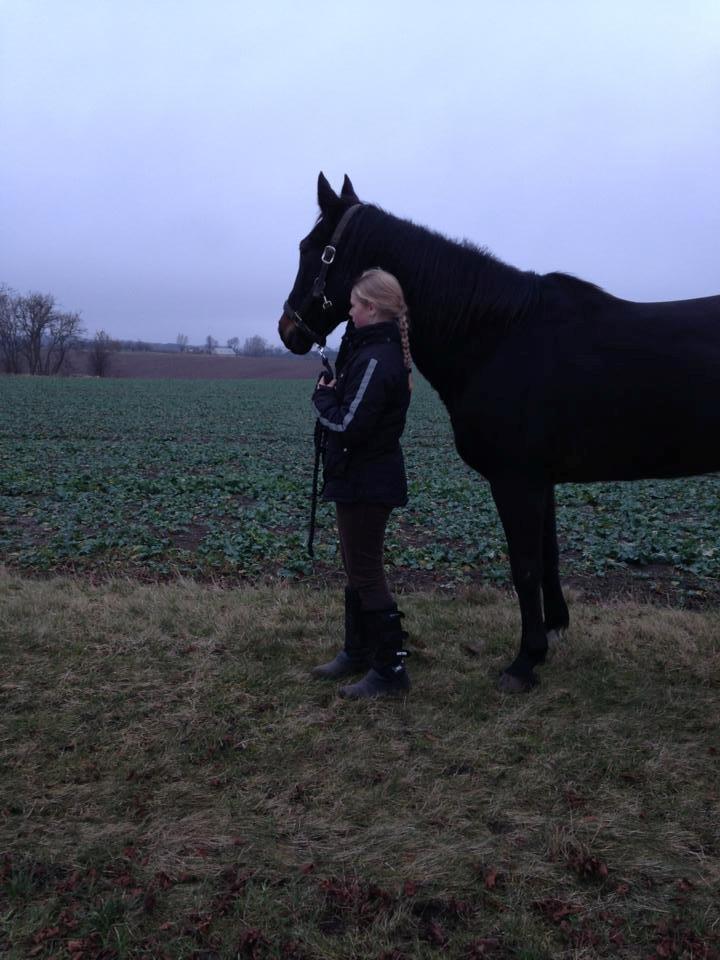 Traver Strong Box billede 4