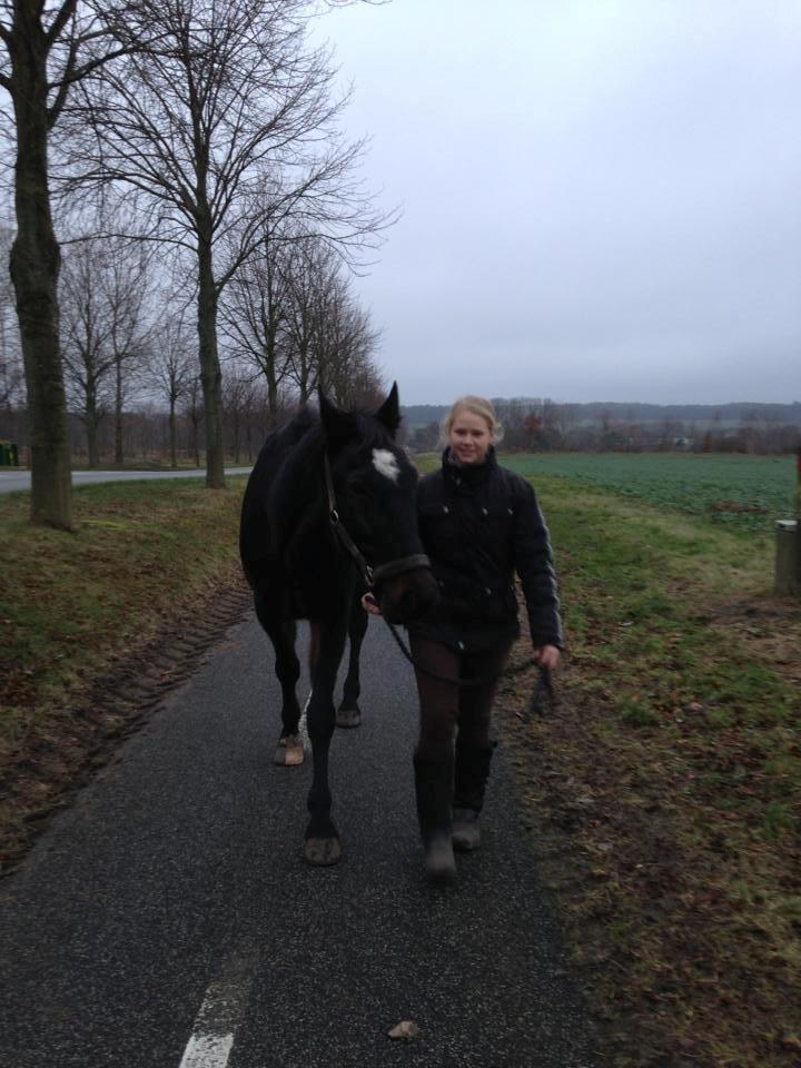 Traver Strong Box billede 5