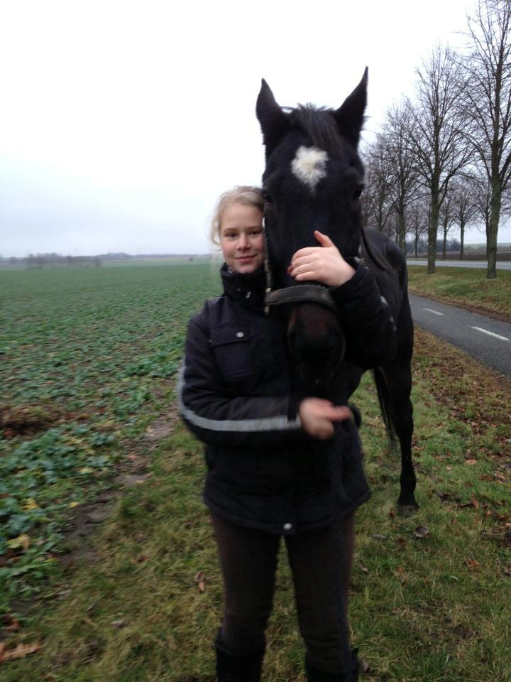 Traver Strong Box billede 6