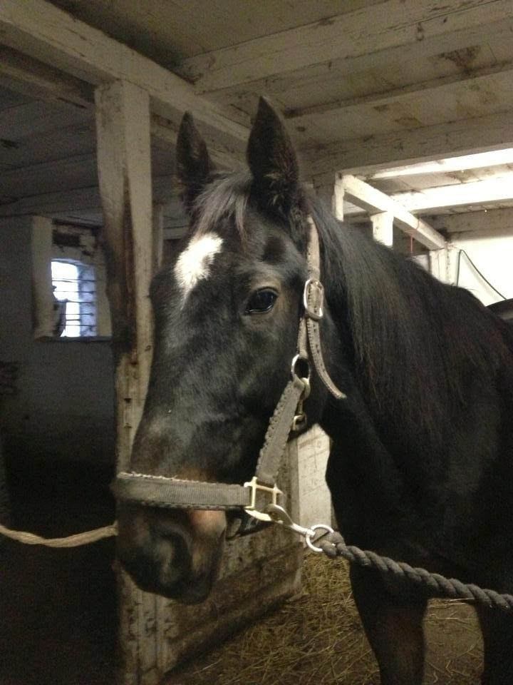 Traver Strong Box billede 8