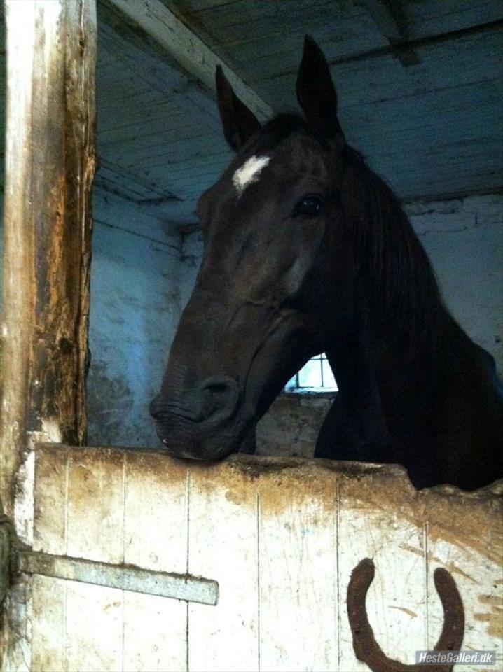 Traver Strong Box billede 9