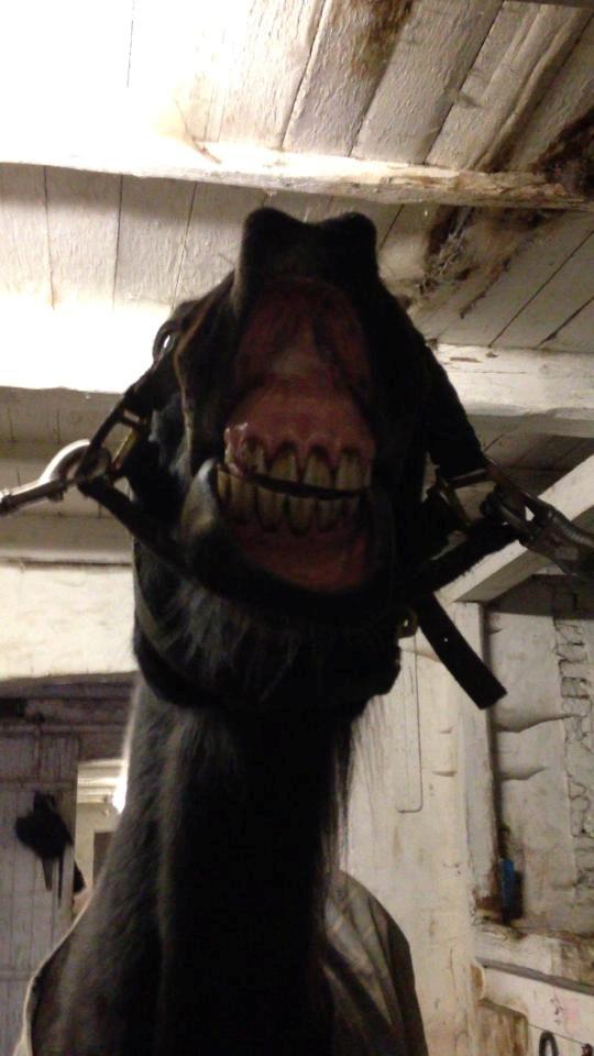 Traver Strong Box billede 11