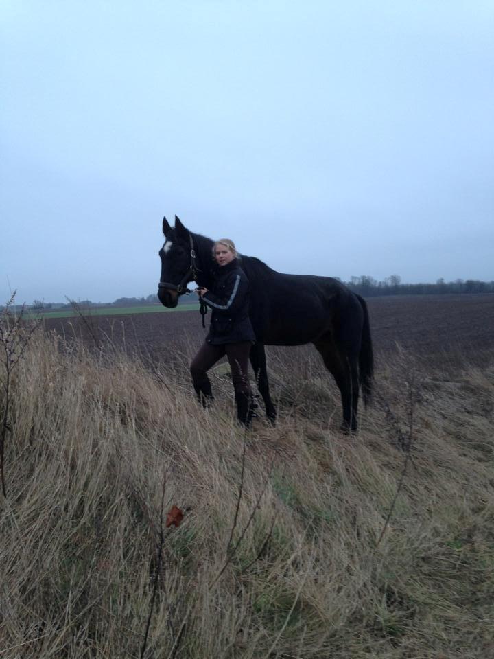 Traver Strong Box billede 12