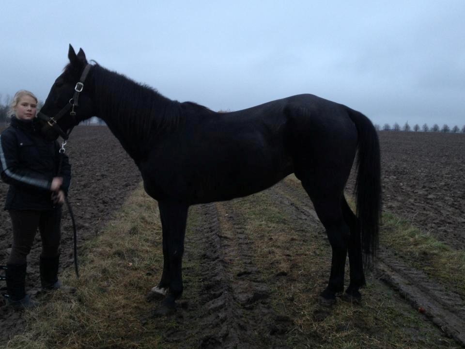 Traver Strong Box billede 13