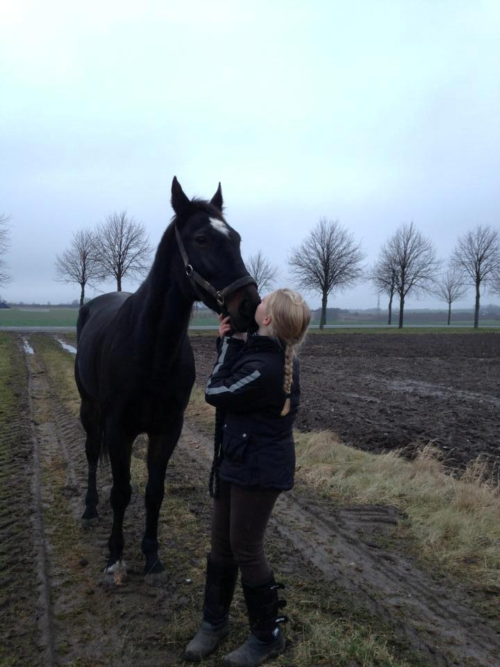 Traver Strong Box billede 14