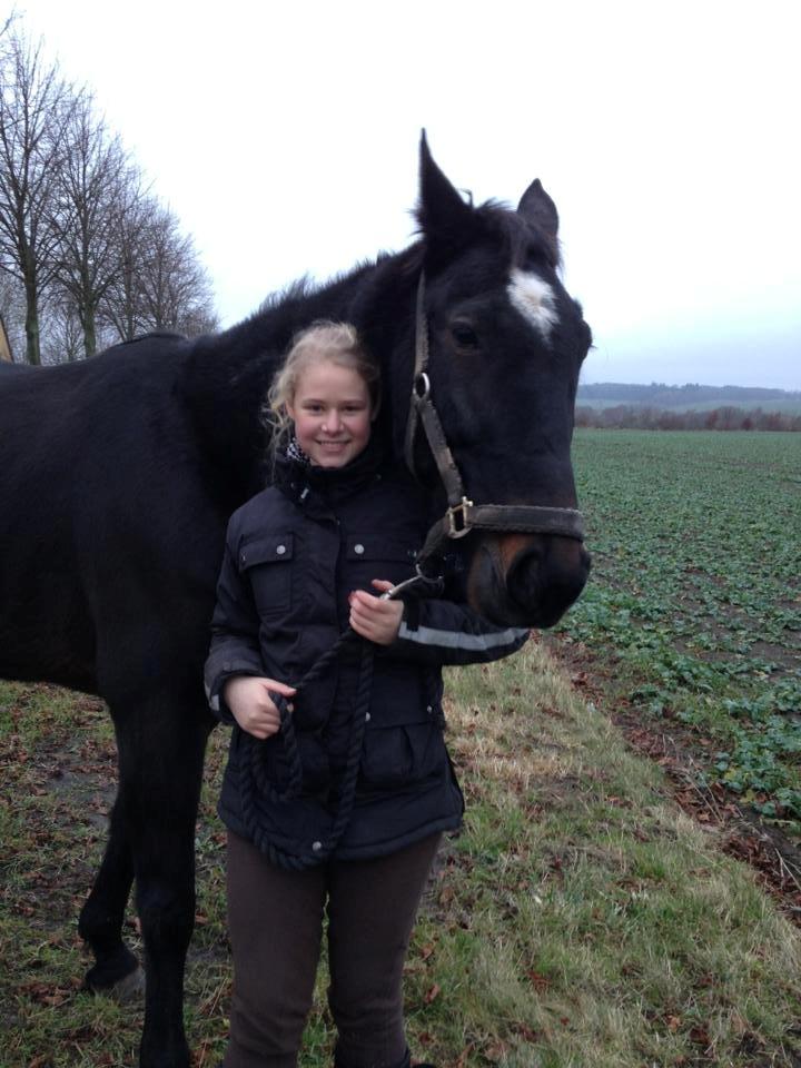 Traver Strong Box billede 15