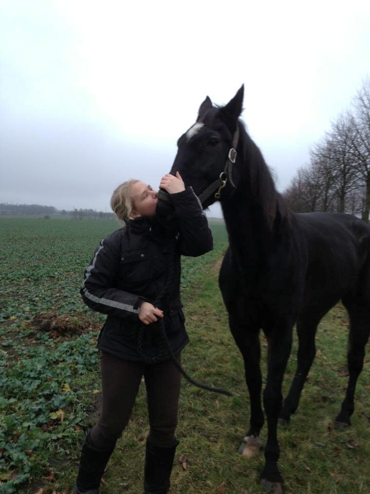 Traver Strong Box billede 16