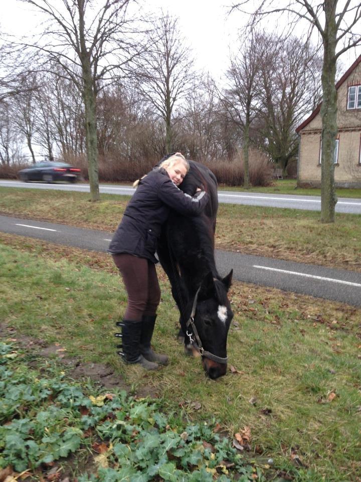 Traver Strong Box billede 17