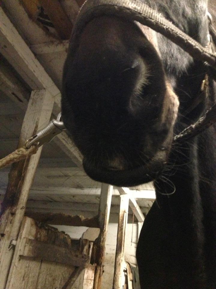 Traver Strong Box billede 18