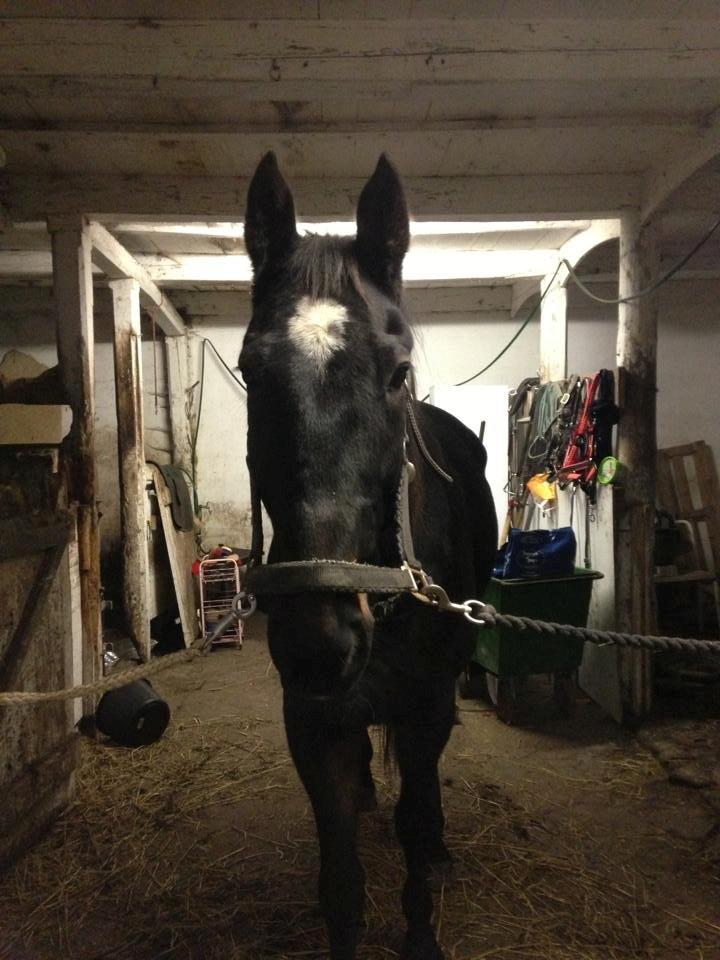 Traver Strong Box billede 19