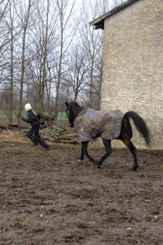 Traver Strong Box billede 20