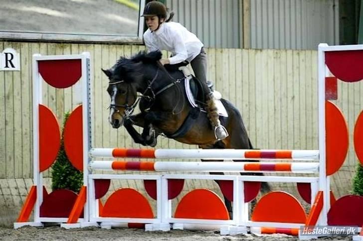 DSP | Elmelys Lady Ruwena billede 7