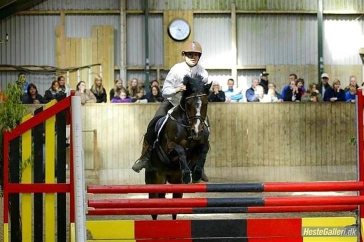 DSP | Elmelys Lady Ruwena billede 8