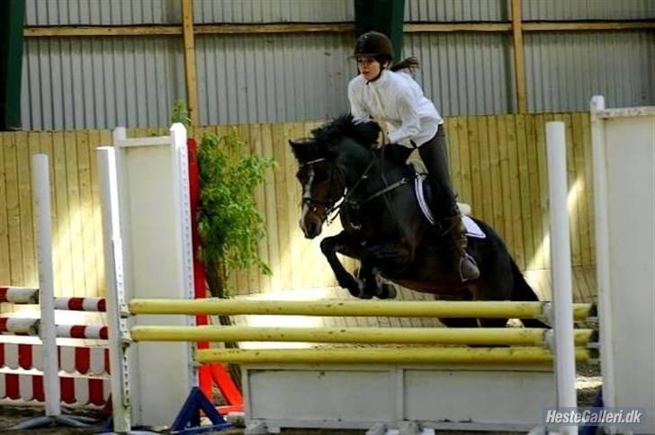 DSP | Elmelys Lady Ruwena billede 10