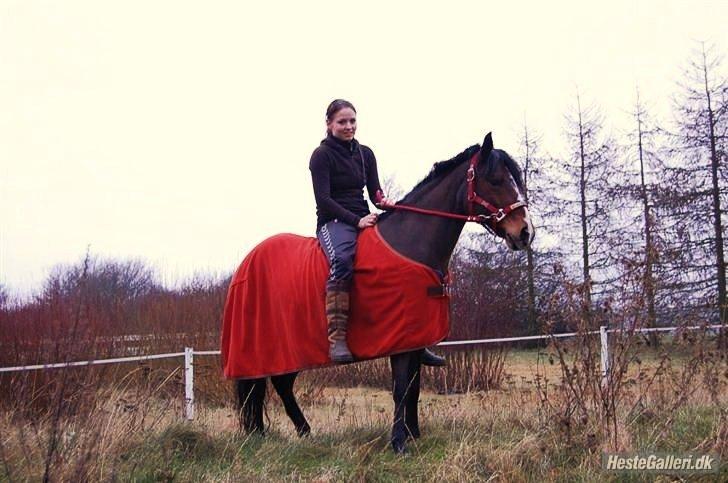 DSP | Elmelys Lady Ruwena billede 14