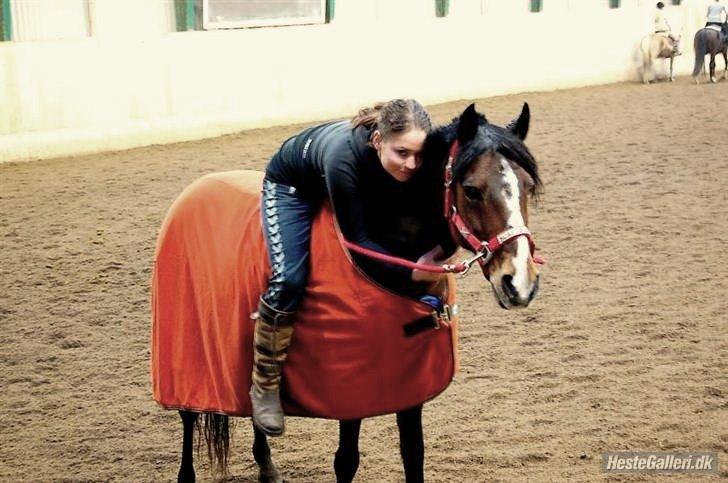 DSP | Elmelys Lady Ruwena billede 15