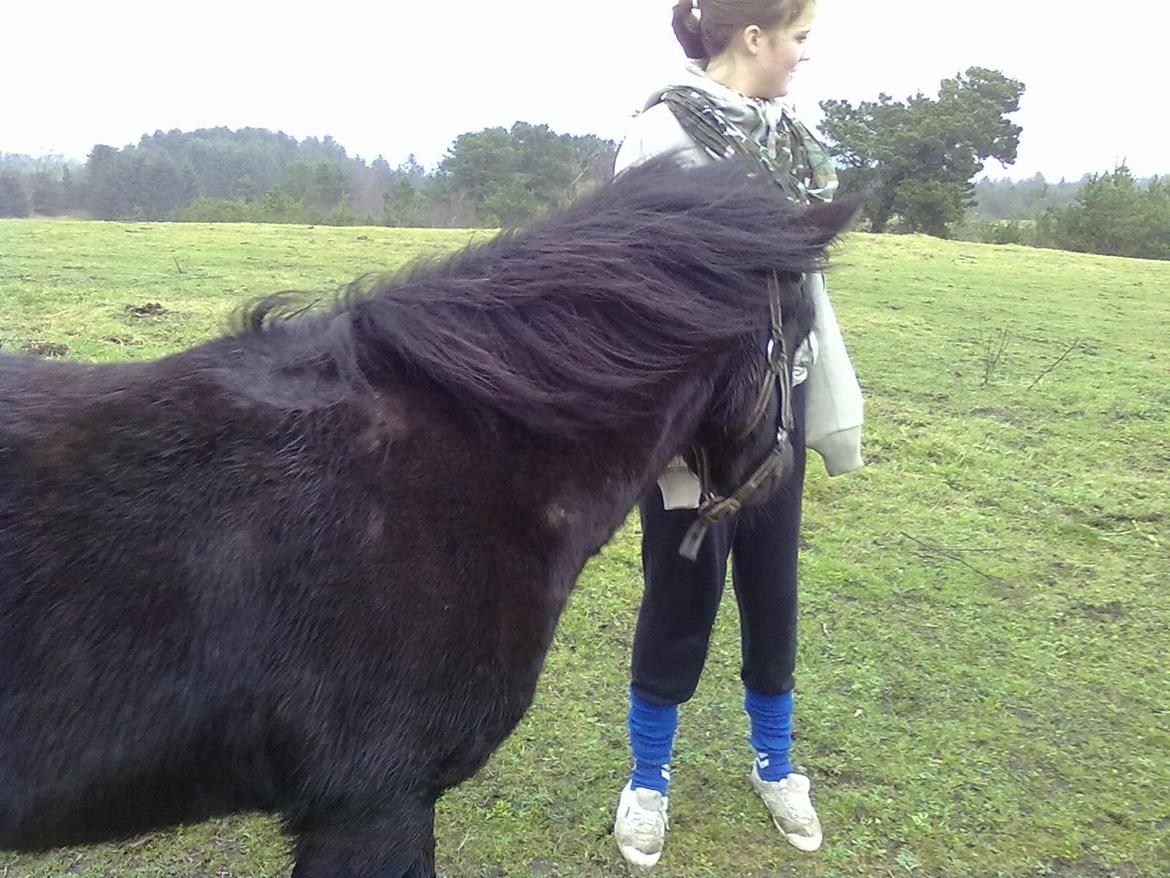 Anden særlig race cirkeline billede 15
