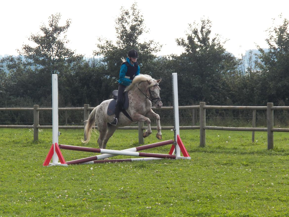 Anden særlig race Ofelia | Min evige optur.<3 | - Ofelia og mig til springtræning 2011 - Foto: Mor. billede 10